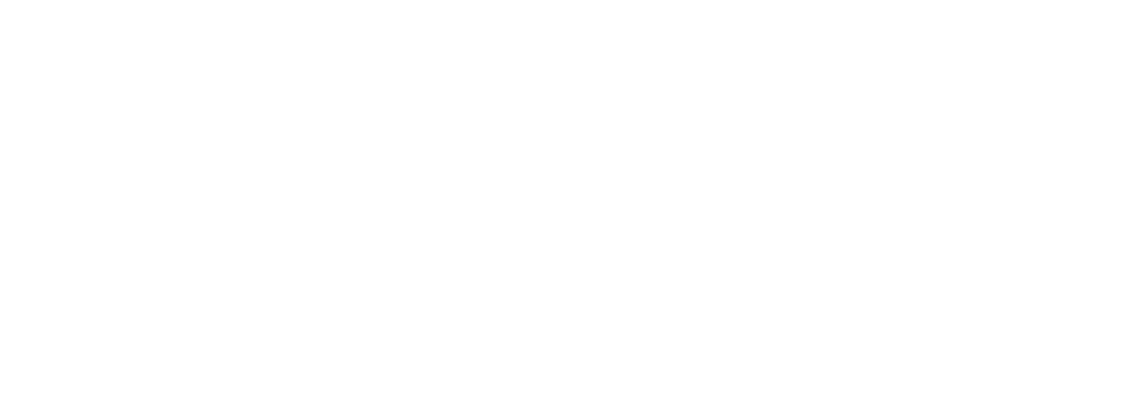 true solutions logo white